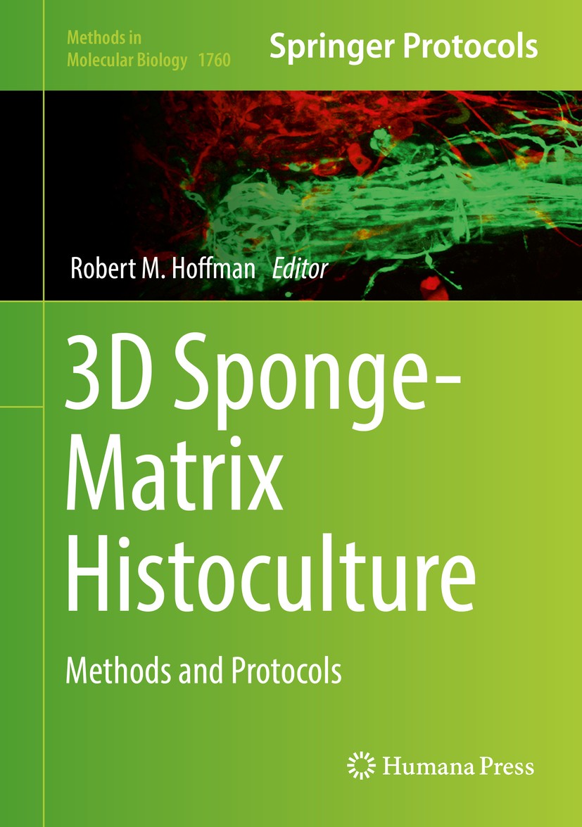 Titlebook: 3D Sponge-Matrix Histoculture; Methods and Protocol Robert M. Hoffman Book 2018 Springer Science+Business Media, LLC, part of Springer Natu Titlebook: 3D Sponge-Matrix Histoculture; Methods and Protocol Robert M. Hoffman Book 2018 Springer Science+Business Media, LLC, part of Springer Natu