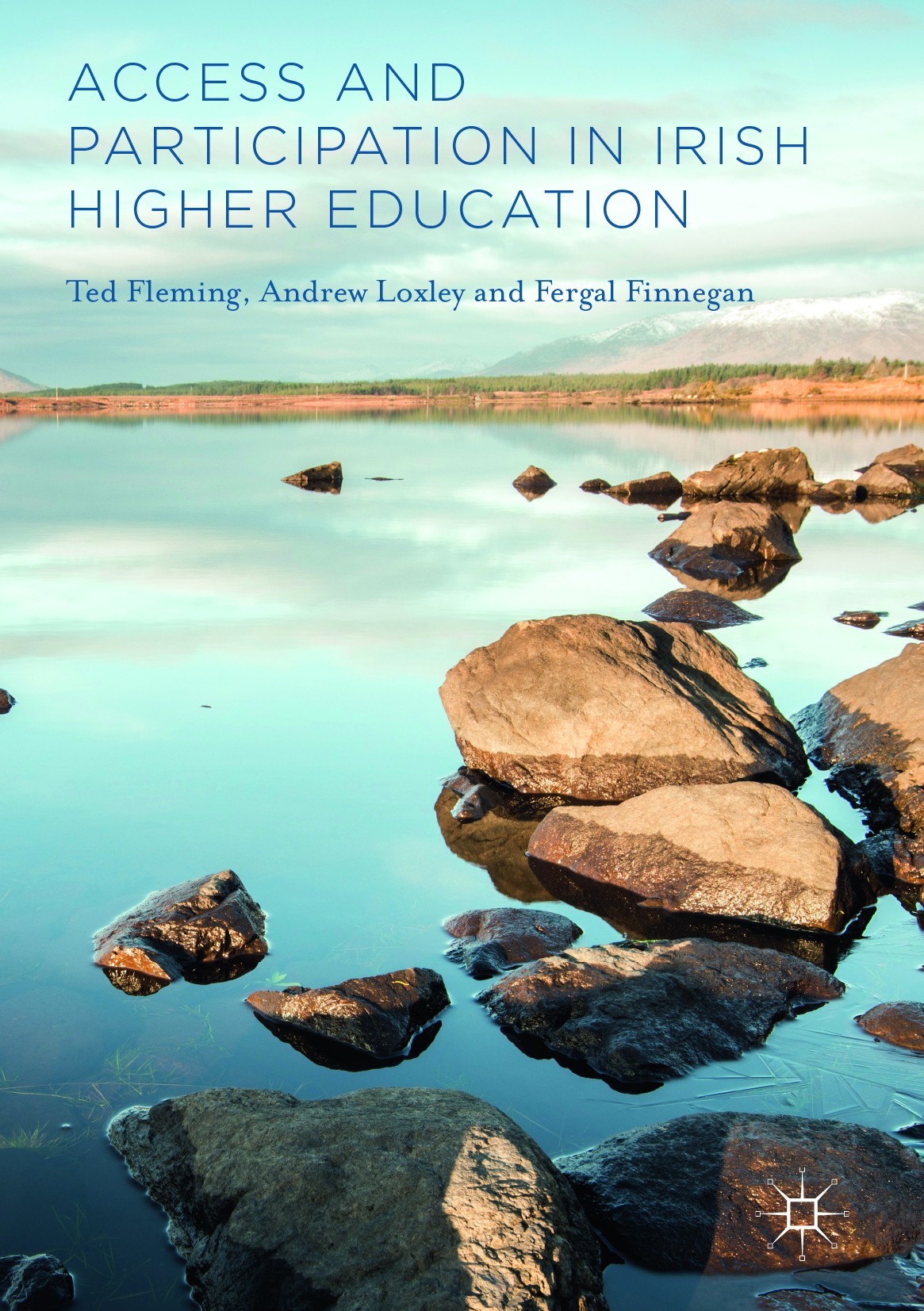 Titlebook: Access and Participation in Irish Higher Education; Ted Fleming,Andrew Loxley,Fergal Finnegan Book 2017 The Editor(s) (if applicable) and Titlebook: Access and Participation in Irish Higher Education; Ted Fleming,Andrew Loxley,Fergal Finnegan Book 2017 The Editor(s) (if applicable) and