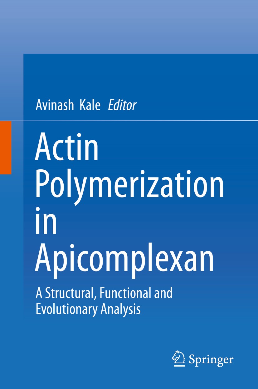 Titlebook: Actin Polymerization in Apicomplexan; A Structural, Functi Avinash Kale Book 2019 Springer Nature Singapore Pte Ltd. 2019 Apicomplexans.Act Titlebook: Actin Polymerization in Apicomplexan; A Structural, Functi Avinash Kale Book 2019 Springer Nature Singapore Pte Ltd. 2019 Apicomplexans.Act