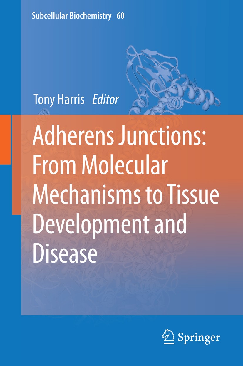 Titlebook: Adherens Junctions: from Molecular Mechanisms to Tissue Development and Disease; Tony Harris Book 2012 Springer Science+Business Media Dor Titlebook: Adherens Junctions: from Molecular Mechanisms to Tissue Development and Disease; Tony Harris Book 2012 Springer Science+Business Media Dor