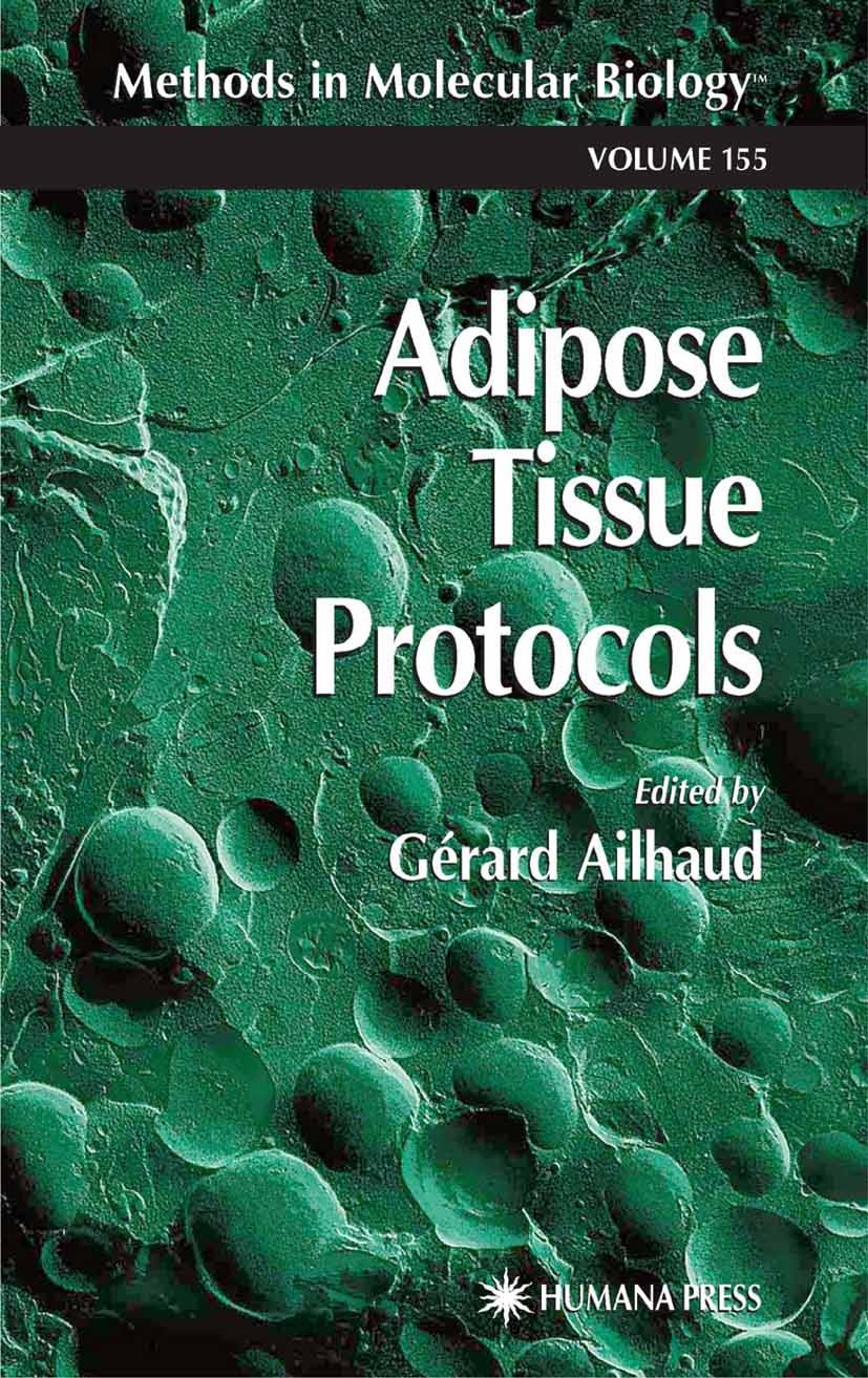Titlebook: Adipose Tissue Protocols; Gérard Ailhaud Book 20011st edition Humana Press 2001 Titlebook: Adipose Tissue Protocols; Gérard Ailhaud Book 20011st edition Humana Press 2001