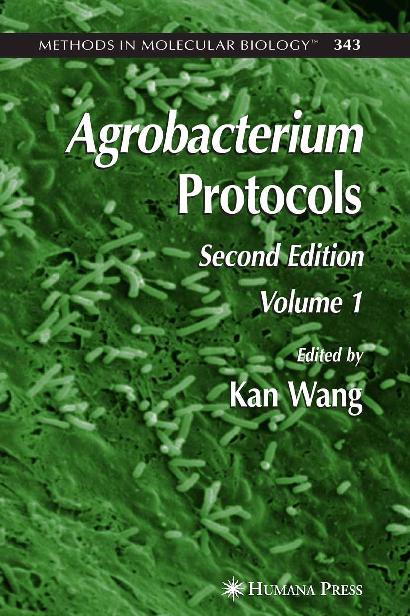 Titlebook: Agrobacterium Protocols; Volume I Kan Wang Book 2006Latest edition Humana Press 2006 Agrobacterium tumefaciens.Arabidopsis thaliana.DNA.Flo Titlebook: Agrobacterium Protocols; Volume I Kan Wang Book 2006Latest edition Humana Press 2006 Agrobacterium tumefaciens.Arabidopsis thaliana.DNA.Flo