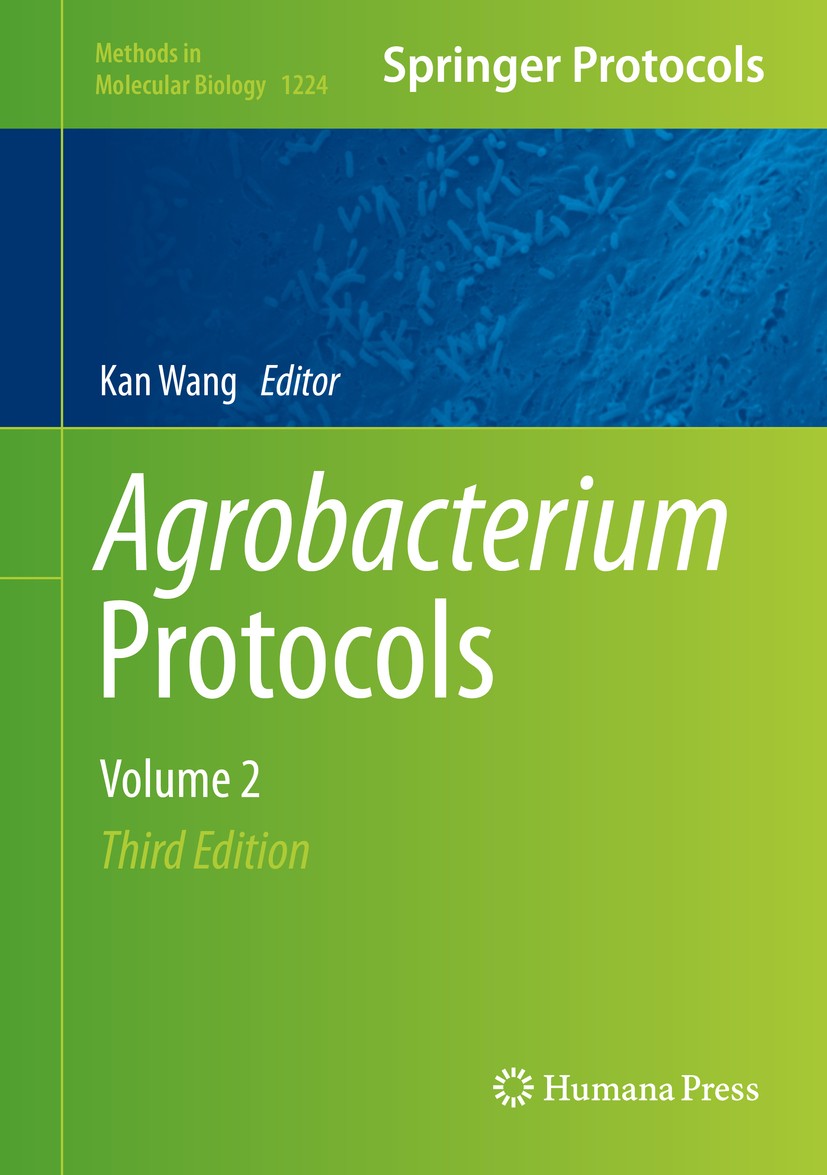 Titlebook: Agrobacterium Protocols; Volume 2 Kan Wang Book 2015Latest edition Springer Science+Business Media New York 2015 Agrobacterium.Agrobacteriu Titlebook: Agrobacterium Protocols; Volume 2 Kan Wang Book 2015Latest edition Springer Science+Business Media New York 2015 Agrobacterium.Agrobacteriu