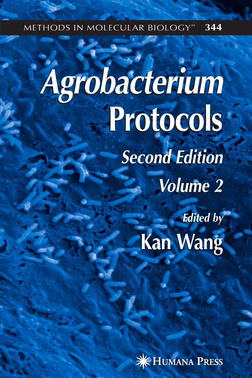 Titlebook: Agrobacterium Protocols; Volume II Kan Wang Book 2007Latest edition Humana Press 2007 DNA.Flora.algae.arabidopsis thaliana.fungi.genetic en Titlebook: Agrobacterium Protocols; Volume II Kan Wang Book 2007Latest edition Humana Press 2007 DNA.Flora.algae.arabidopsis thaliana.fungi.genetic en