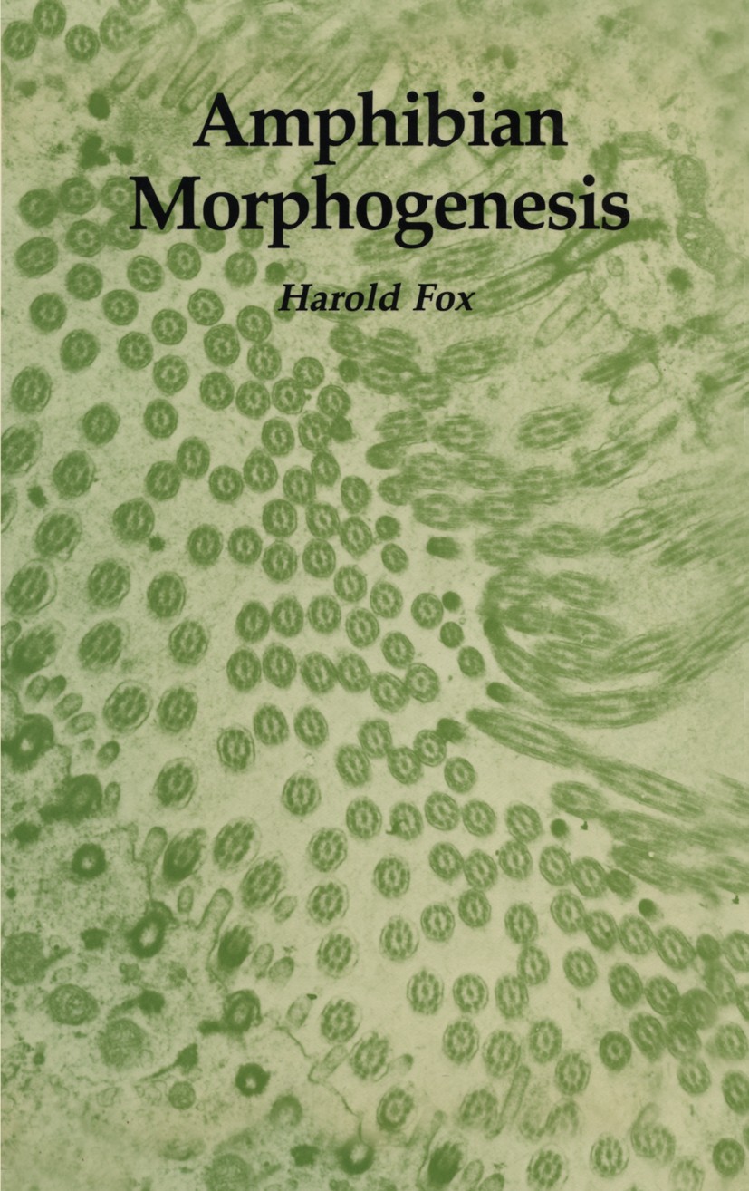 Titlebook: Amphibian Morphogenesis; Harold Fox Book 1984 The HUMANA Press Inc. 1984 Organelle.alimentary canal.amphibians.biochemistry.biology.chemis Titlebook: Amphibian Morphogenesis; Harold Fox Book 1984 The HUMANA Press Inc. 1984 Organelle.alimentary canal.amphibians.biochemistry.biology.chemis