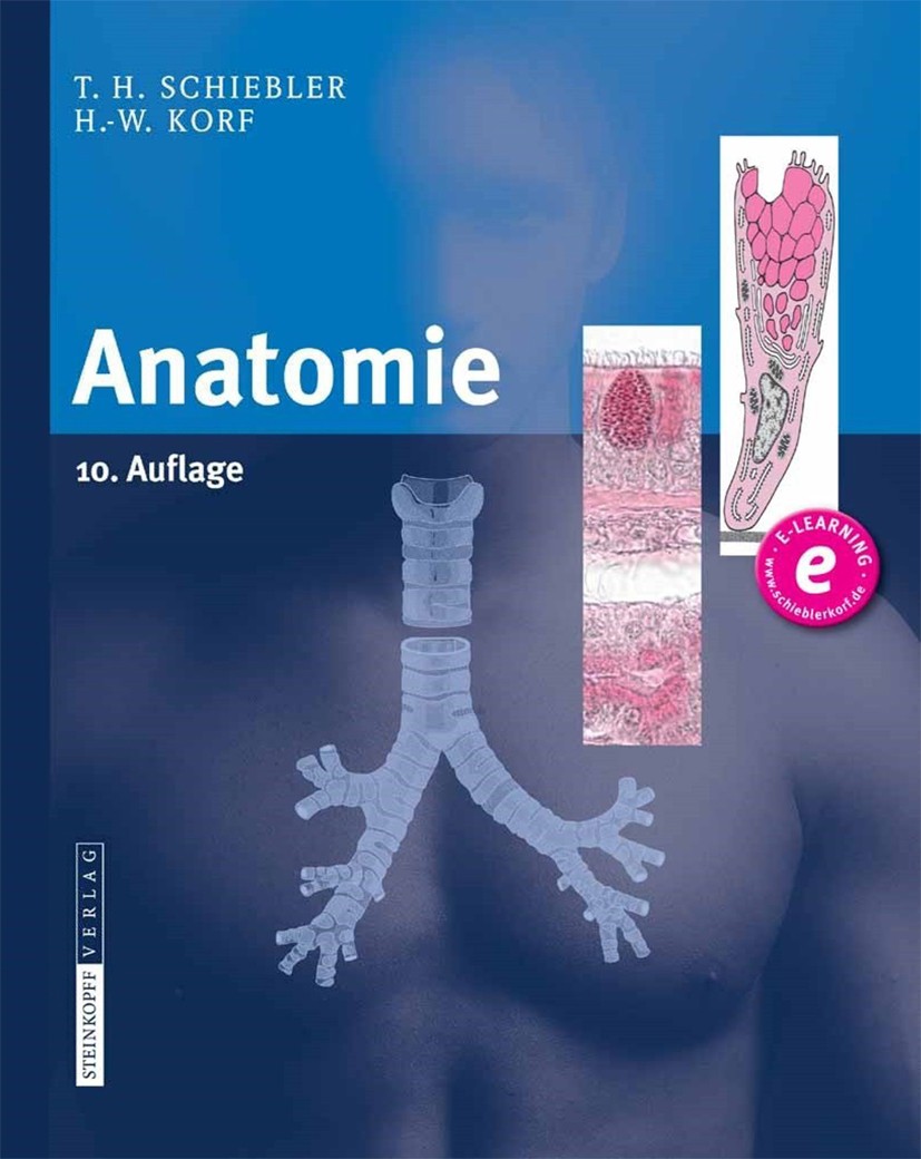 Titlebook: Anatomie; Histologie, Entwickl Theodor Heinrich Schiebler,Horst-Werner Korf Textbook 2007Latest edition Steinkopff-Verlag Darmstadt 2007 Al Titlebook: Anatomie; Histologie, Entwickl Theodor Heinrich Schiebler,Horst-Werner Korf Textbook 2007Latest edition Steinkopff-Verlag Darmstadt 2007 Al