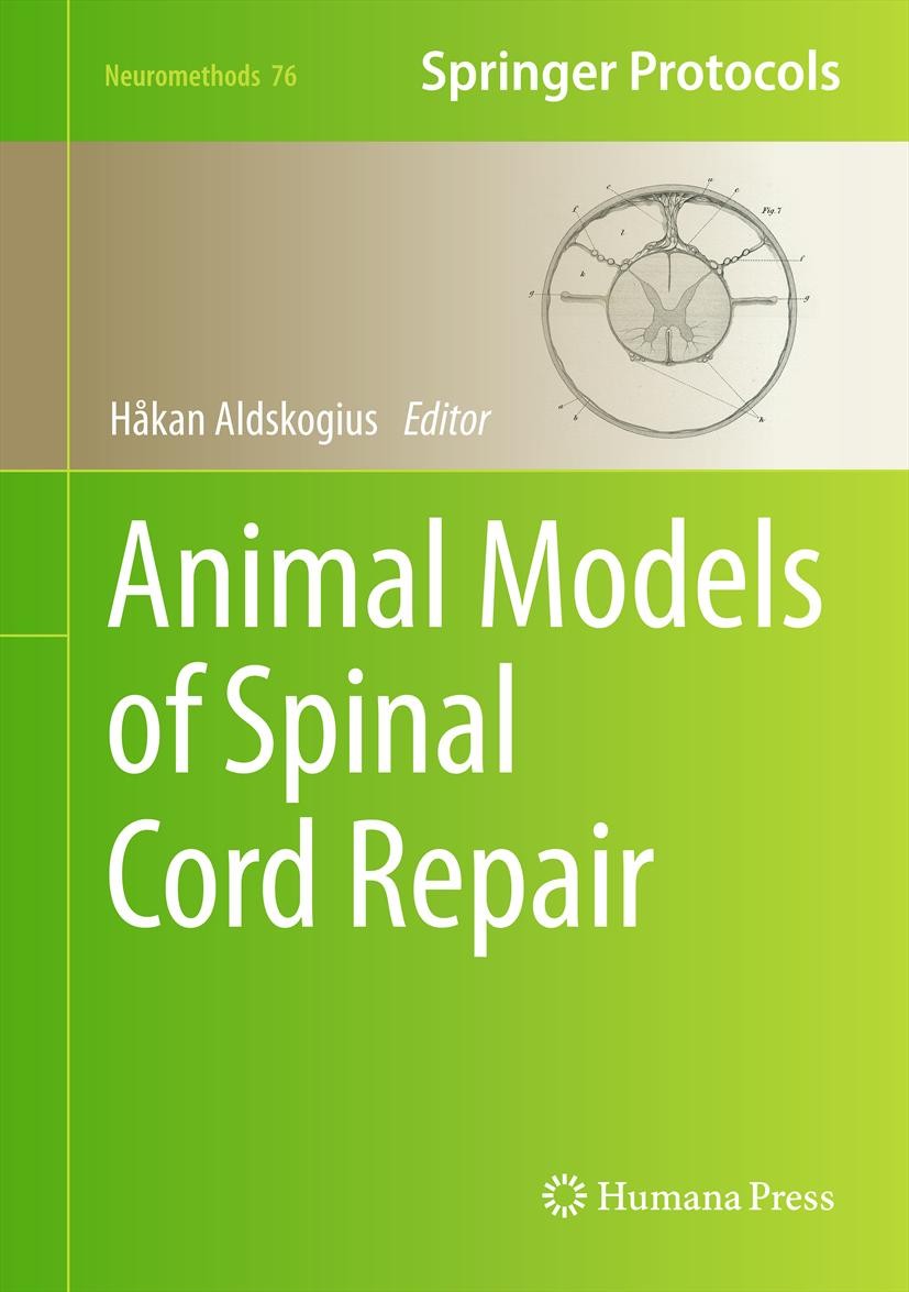 Titlebook: Animal Models of Spinal Cord Repair; Håkan Aldskogius Book 2013 Springer Science+Business Media, LLC 2013 Clinical translation.Experimenta Titlebook: Animal Models of Spinal Cord Repair; Håkan Aldskogius Book 2013 Springer Science+Business Media, LLC 2013 Clinical translation.Experimenta