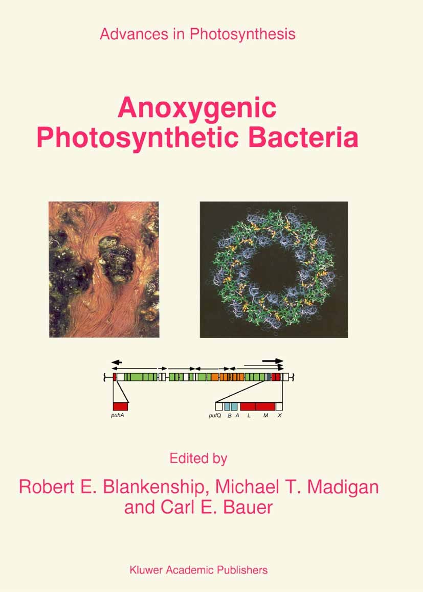 Titlebook: Anoxygenic Photosynthetic Bacteria; Robert E. Blankenship,Michael T. Madigan,Carl E. B Book 1995 Springer Science+Business Media B.V. 1995 Titlebook: Anoxygenic Photosynthetic Bacteria; Robert E. Blankenship,Michael T. Madigan,Carl E. B Book 1995 Springer Science+Business Media B.V. 1995