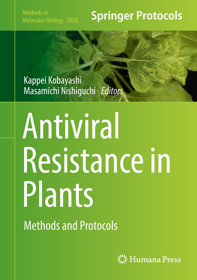 Titlebook: Antiviral Resistance in Plants; Methods and Protocol Kappei Kobayashi,Masamichi Nishiguchi Book 2019 Springer Science+Business Media, LLC, Titlebook: Antiviral Resistance in Plants; Methods and Protocol Kappei Kobayashi,Masamichi Nishiguchi Book 2019 Springer Science+Business Media, LLC,