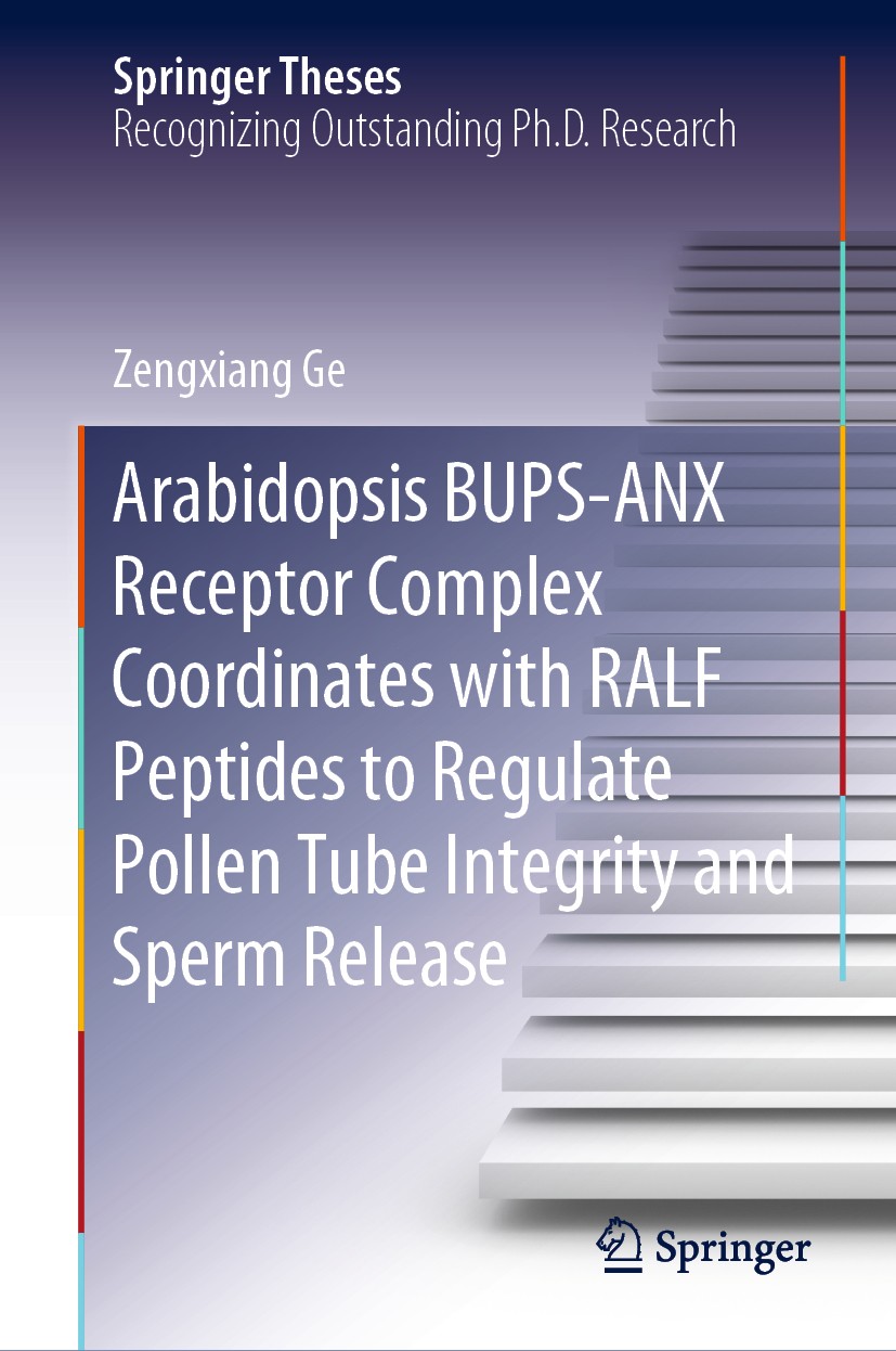 Titlebook: Arabidopsis BUPS-ANX Receptor Complex Coordinates with RALF Peptides to Regulate Pollen Tube Integri; Zengxiang Ge Book 2020 Springer Natu Titlebook: Arabidopsis BUPS-ANX Receptor Complex Coordinates with RALF Peptides to Regulate Pollen Tube Integri; Zengxiang Ge Book 2020 Springer Natu