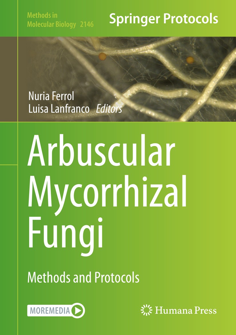 Titlebook: Arbuscular Mycorrhizal Fungi; Methods and Protocol Nuria Ferrol,Luisa Lanfranco Book 2020 Springer Science+Business Media, LLC, part of Spr Titlebook: Arbuscular Mycorrhizal Fungi; Methods and Protocol Nuria Ferrol,Luisa Lanfranco Book 2020 Springer Science+Business Media, LLC, part of Spr