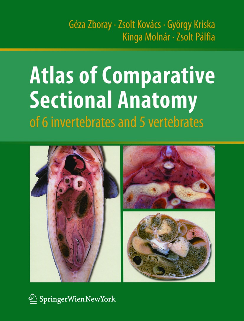 Titlebook: Atlas of Comparative Sectional Anatomy of 6 invertebrates and 5 vertebrates; European Space Policy Institute, Vienna, Austria,G Book 2010 Titlebook: Atlas of Comparative Sectional Anatomy of 6 invertebrates and 5 vertebrates; European Space Policy Institute, Vienna, Austria,G Book 2010
