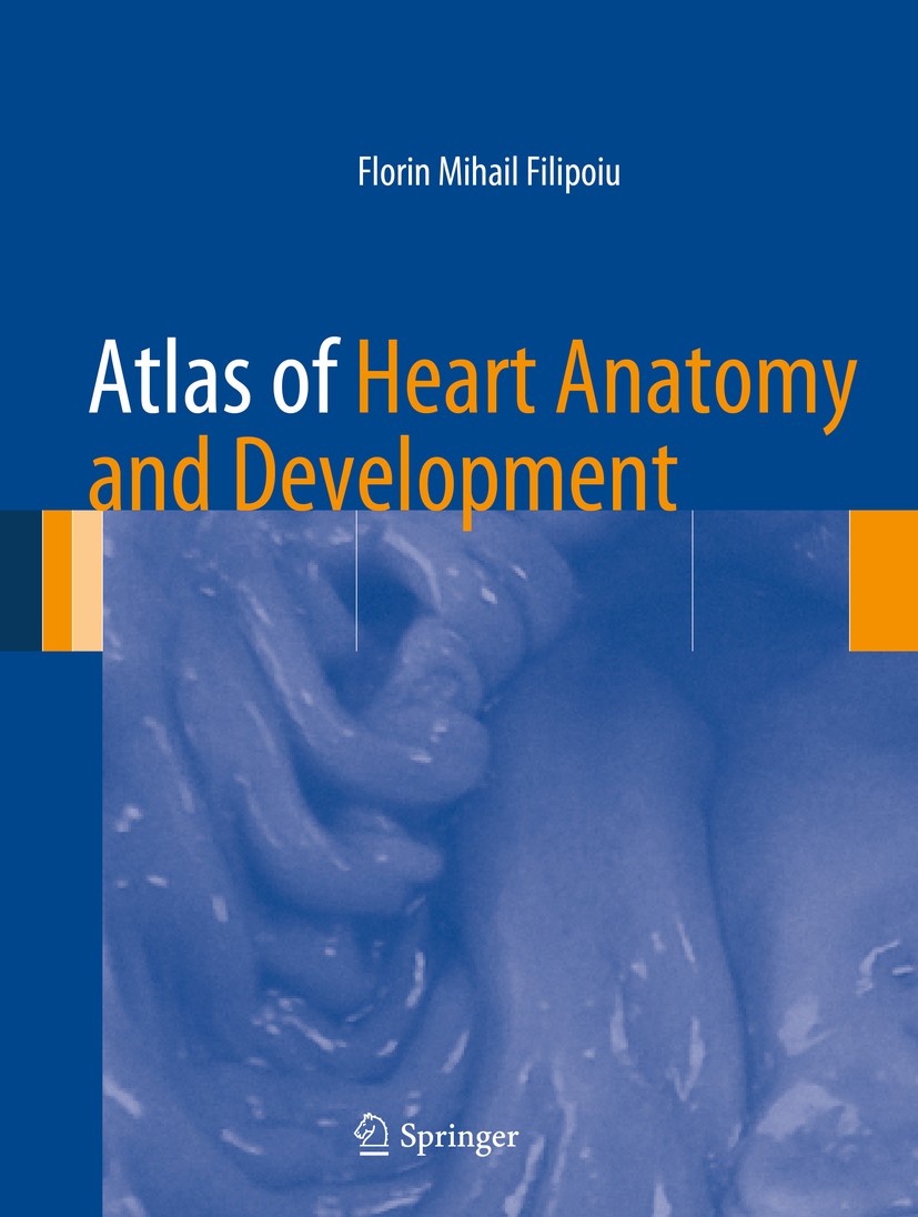 Titlebook: Atlas of Heart Anatomy and Development; Florin Mihail Filipoiu Book 2014 Springer-Verlag London 2014 coronary blood supply.heart developme Titlebook: Atlas of Heart Anatomy and Development; Florin Mihail Filipoiu Book 2014 Springer-Verlag London 2014 coronary blood supply.heart developme