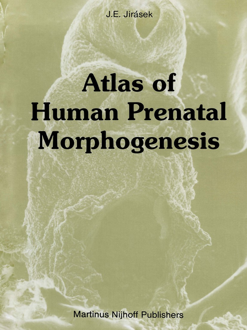 Titlebook: Atlas of Human Prenatal Morphogenesis; Jan E. Jirásek Book 1983 Martinus Nijhoff Publishers, Boston 1983 brain.central nervous system.deve Titlebook: Atlas of Human Prenatal Morphogenesis; Jan E. Jirásek Book 1983 Martinus Nijhoff Publishers, Boston 1983 brain.central nervous system.deve