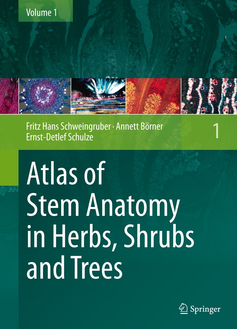 Titlebook: Atlas of Stem Anatomy in Herbs, Shrubs and Trees; Volume 1 Fritz H. Schweingruber,Annett Börner,Ernst-Detlef Book 2011 Springer-Verlag Ber Titlebook: Atlas of Stem Anatomy in Herbs, Shrubs and Trees; Volume 1 Fritz H. Schweingruber,Annett Börner,Ernst-Detlef Book 2011 Springer-Verlag Ber