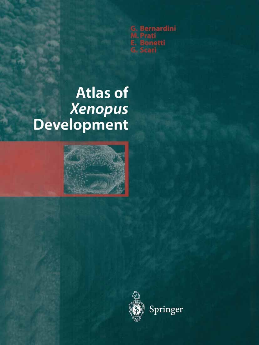Titlebook: Atlas of Xenopus Development; G. Bernardini,M. Prati,G. Scarì Book 1999 Springer-Verlag Italia 1999 Vertebrate.Xenopus, Embryologie.Xenopu Titlebook: Atlas of Xenopus Development; G. Bernardini,M. Prati,G. Scarì Book 1999 Springer-Verlag Italia 1999 Vertebrate.Xenopus, Embryologie.Xenopu