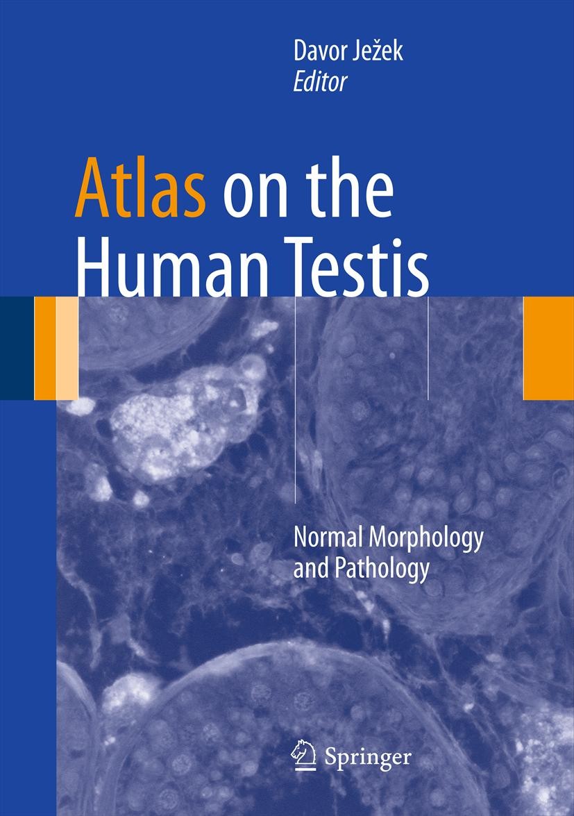Titlebook: Atlas on the Human Testis; Normal Morphology an Davor Ježek Book 2013 Springer-Verlag London 2013 Anatomy.Pathology.Testis.Urology Titlebook: Atlas on the Human Testis; Normal Morphology an Davor Ježek Book 2013 Springer-Verlag London 2013 Anatomy.Pathology.Testis.Urology