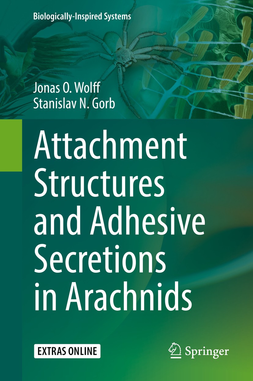 Titlebook: Attachment Structures and Adhesive Secretions in Arachnids; Jonas O. Wolff,Stanislav N. Gorb Book 2016 Springer International Publishing S Titlebook: Attachment Structures and Adhesive Secretions in Arachnids; Jonas O. Wolff,Stanislav N. Gorb Book 2016 Springer International Publishing S