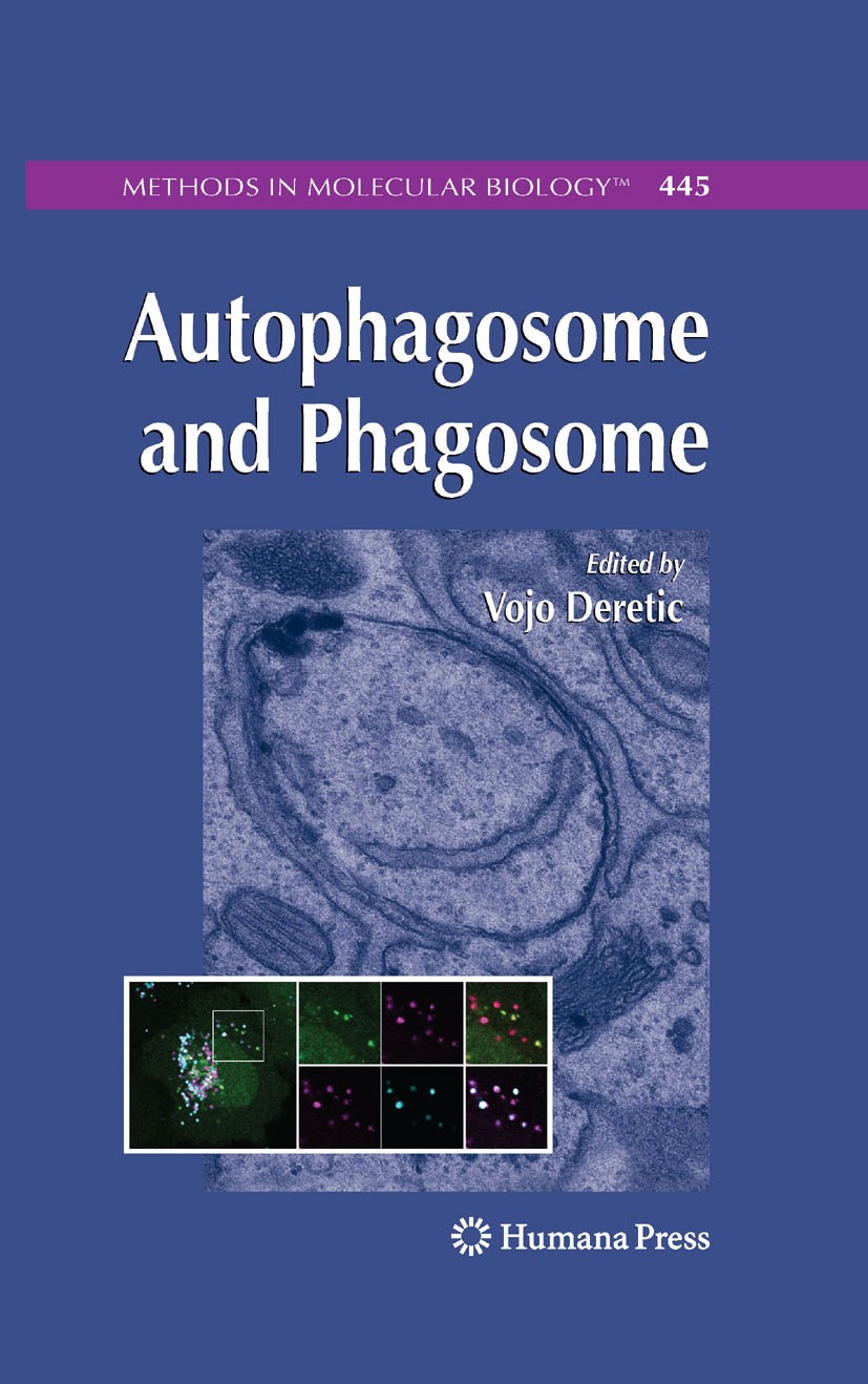 Titlebook: Autophagosome and Phagosome; Vojo Deretic Book 2008 Humana Press 2008 Amino acid.Autolysosomes.Autophagy.Fluorescence Microscopy.Organelle Titlebook: Autophagosome and Phagosome; Vojo Deretic Book 2008 Humana Press 2008 Amino acid.Autolysosomes.Autophagy.Fluorescence Microscopy.Organelle