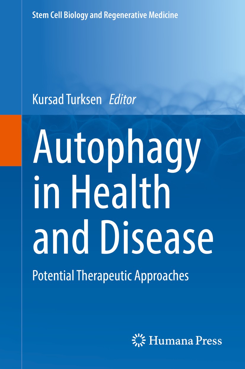 Titlebook: Autophagy in Health and Disease; Potential Therapeuti Kursad Turksen Book 2018 Springer Nature Switzerland AG 2018 Aging.Diabetes.Mitochond Titlebook: Autophagy in Health and Disease; Potential Therapeuti Kursad Turksen Book 2018 Springer Nature Switzerland AG 2018 Aging.Diabetes.Mitochond