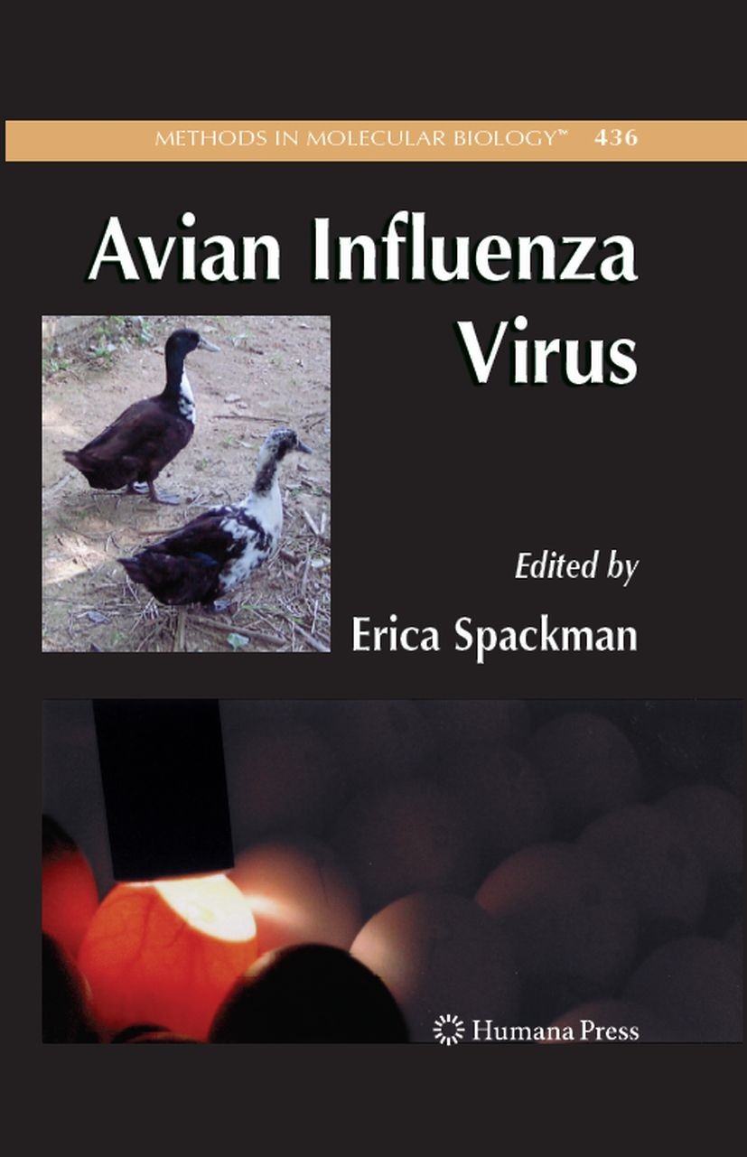 Titlebook: Avian Influenza Virus; Erica Spackman Book 2008 Humana Press 2008 Avian flu.H5N1.HPAI virus.Pandemic.Virus.avian influenza.infection.patho Titlebook: Avian Influenza Virus; Erica Spackman Book 2008 Humana Press 2008 Avian flu.H5N1.HPAI virus.Pandemic.Virus.avian influenza.infection.patho