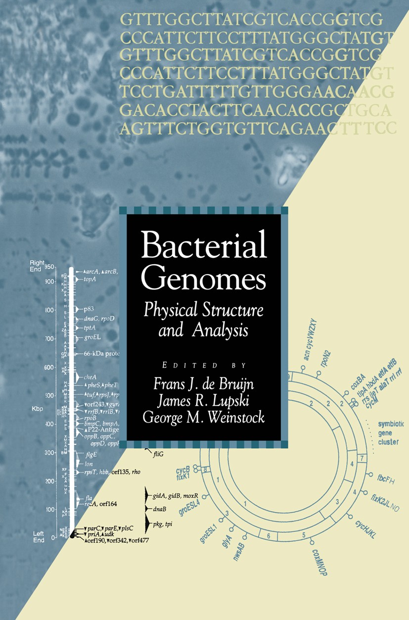 Titlebook: Bacterial Genomes; Physical Structure a Frans J. Bruijn,James R. Lupski,George M. Weinstoc Book 1998 Springer Science+Business Media New Yo Titlebook: Bacterial Genomes; Physical Structure a Frans J. Bruijn,James R. Lupski,George M. Weinstoc Book 1998 Springer Science+Business Media New Yo