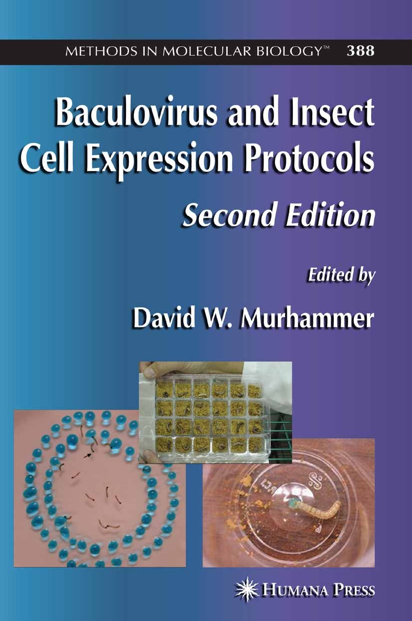 Titlebook: Baculovirus and Insect Cell Expression Protocols; David W. Murhammer Book 2007Latest edition Humana Press 2007 Expression.Protein.cell lin Titlebook: Baculovirus and Insect Cell Expression Protocols; David W. Murhammer Book 2007Latest edition Humana Press 2007 Expression.Protein.cell lin
