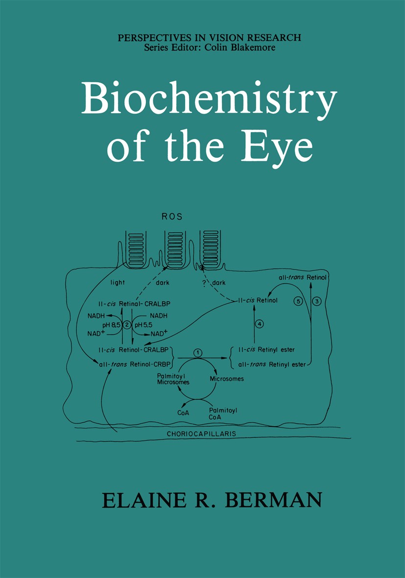 Titlebook: Biochemistry of the Eye; Elaine R. Berman Book 1991 Springer Science+Business Media New York 1991 biochemistry.eye.ophthalmology.retina Titlebook: Biochemistry of the Eye; Elaine R. Berman Book 1991 Springer Science+Business Media New York 1991 biochemistry.eye.ophthalmology.retina