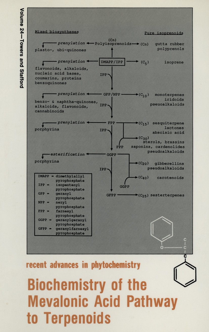 Titlebook: Biochemistry of the Mevalonic Acid Pathway to Terpenoids; G. H. Neil Towers,Helen A. Stafford Book 1990 Plenum Press, New York 1990 bioche Titlebook: Biochemistry of the Mevalonic Acid Pathway to Terpenoids; G. H. Neil Towers,Helen A. Stafford Book 1990 Plenum Press, New York 1990 bioche