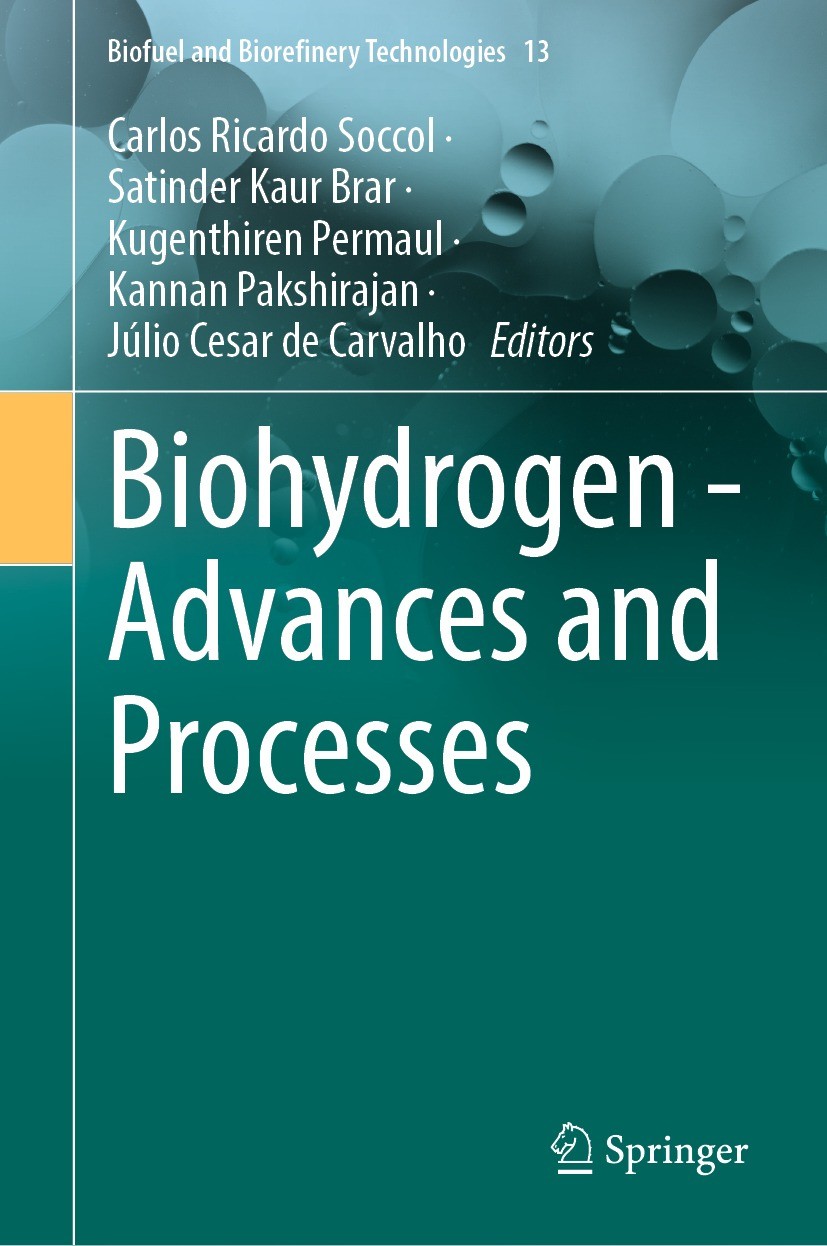 Titlebook: Biohydrogen - Advances and Processes; Carlos Ricardo Soccol,Satinder Kaur Brar,Júlio Ces Book 2024 The Editor(s) (if applicable) and The A Titlebook: Biohydrogen - Advances and Processes; Carlos Ricardo Soccol,Satinder Kaur Brar,Júlio Ces Book 2024 The Editor(s) (if applicable) and The A