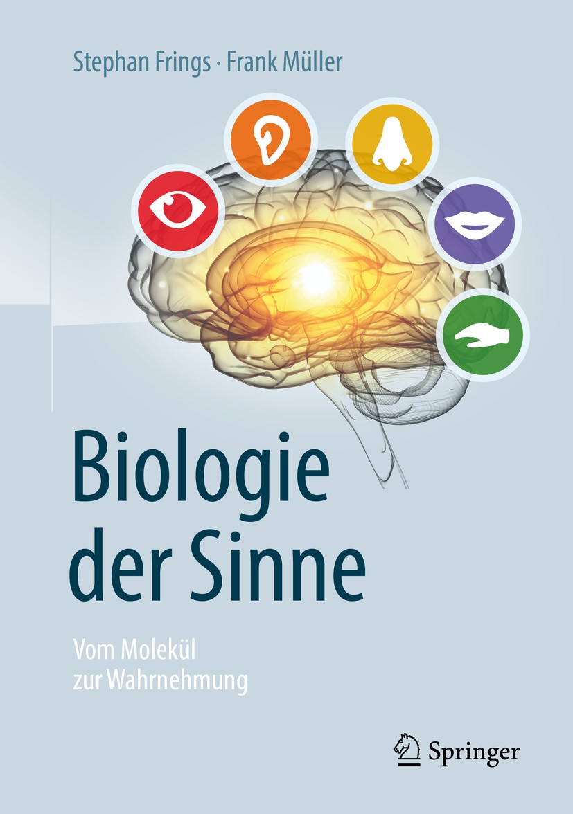 Titlebook: Biologie der Sinne; Vom Molekül zur Wahr Stephan Frings,Frank Müller Book 2019Latest edition Springer-Verlag GmbH Deutschland, ein Teil von Titlebook: Biologie der Sinne; Vom Molekül zur Wahr Stephan Frings,Frank Müller Book 2019Latest edition Springer-Verlag GmbH Deutschland, ein Teil von