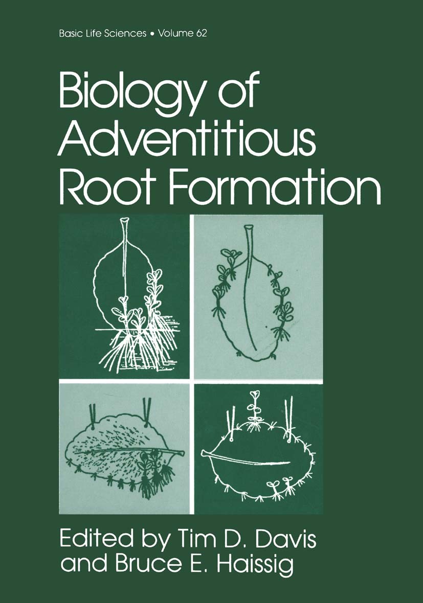 Titlebook: Biology of Adventitious Root Formation; Tim D. Davis,Bruce E. Haissig Book 1994 Springer Science+Business Media New York 1994 Termination. Titlebook: Biology of Adventitious Root Formation; Tim D. Davis,Bruce E. Haissig Book 1994 Springer Science+Business Media New York 1994 Termination.