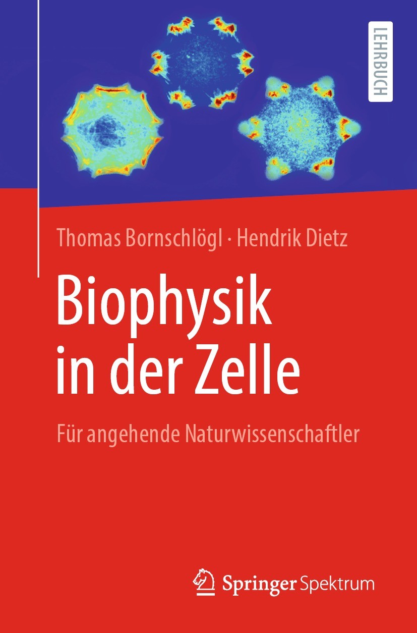 Titlebook: Biophysik in der Zelle; Für angehende Naturw Thomas Bornschlögl,Hendrik Dietz Textbook 2021 Springer-Verlag GmbH Deutschland, ein Teil von Titlebook: Biophysik in der Zelle; Für angehende Naturw Thomas Bornschlögl,Hendrik Dietz Textbook 2021 Springer-Verlag GmbH Deutschland, ein Teil von