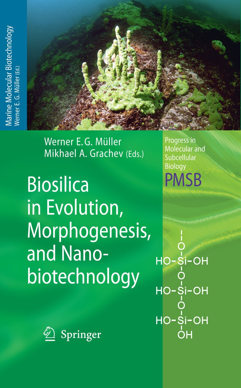 Titlebook: Biosilica in Evolution, Morphogenesis, and Nanobiotechnology; Case Study Lake Baik Werner E. G. Müller,Mikhael A. Grachev Book 2009 Springe Titlebook: Biosilica in Evolution, Morphogenesis, and Nanobiotechnology; Case Study Lake Baik Werner E. G. Müller,Mikhael A. Grachev Book 2009 Springe