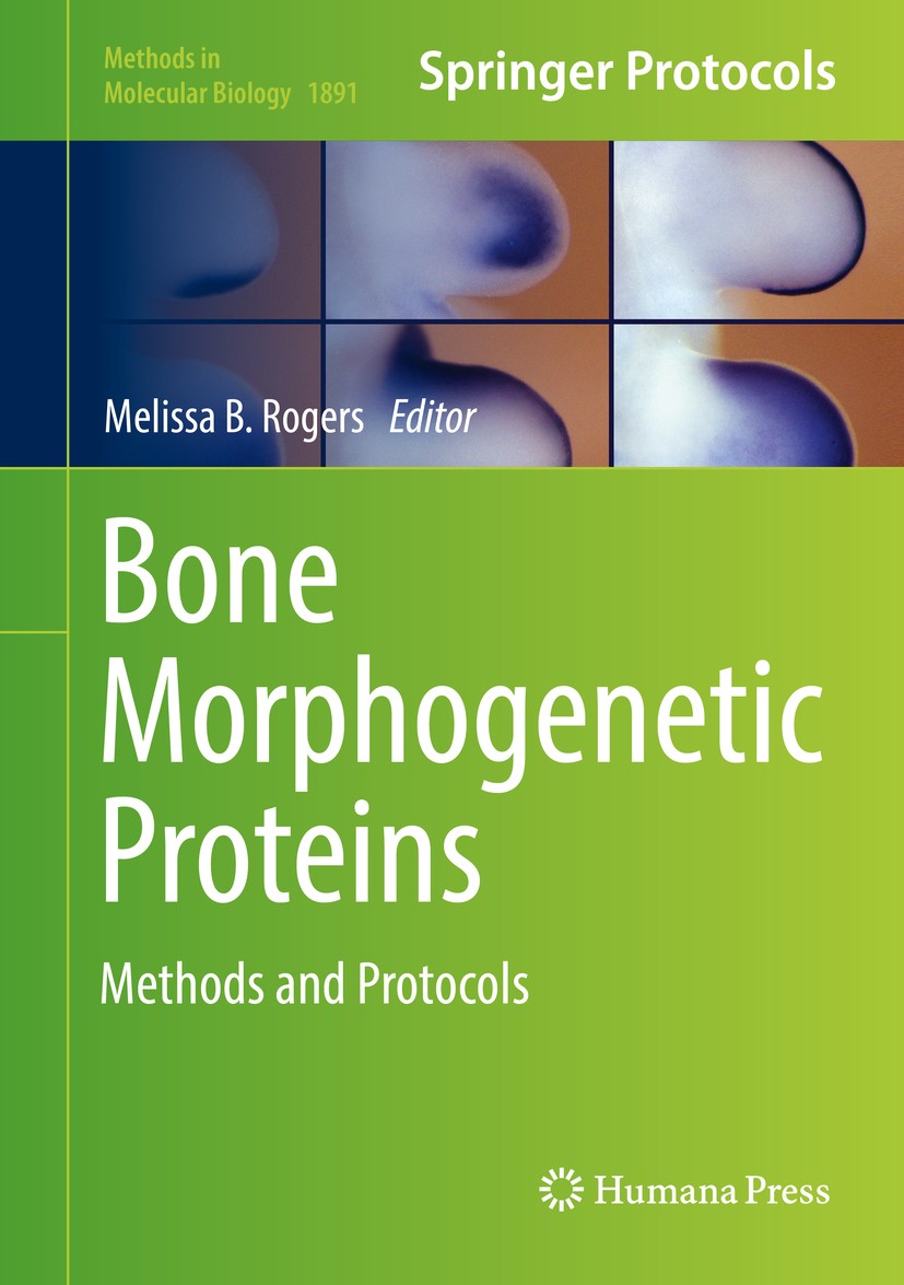 Titlebook: Bone Morphogenetic Proteins; Methods and Protocol Melissa B. Rogers Book 2019 Springer Science+Business Media, LLC, part of Springer Nature Titlebook: Bone Morphogenetic Proteins; Methods and Protocol Melissa B. Rogers Book 2019 Springer Science+Business Media, LLC, part of Springer Nature