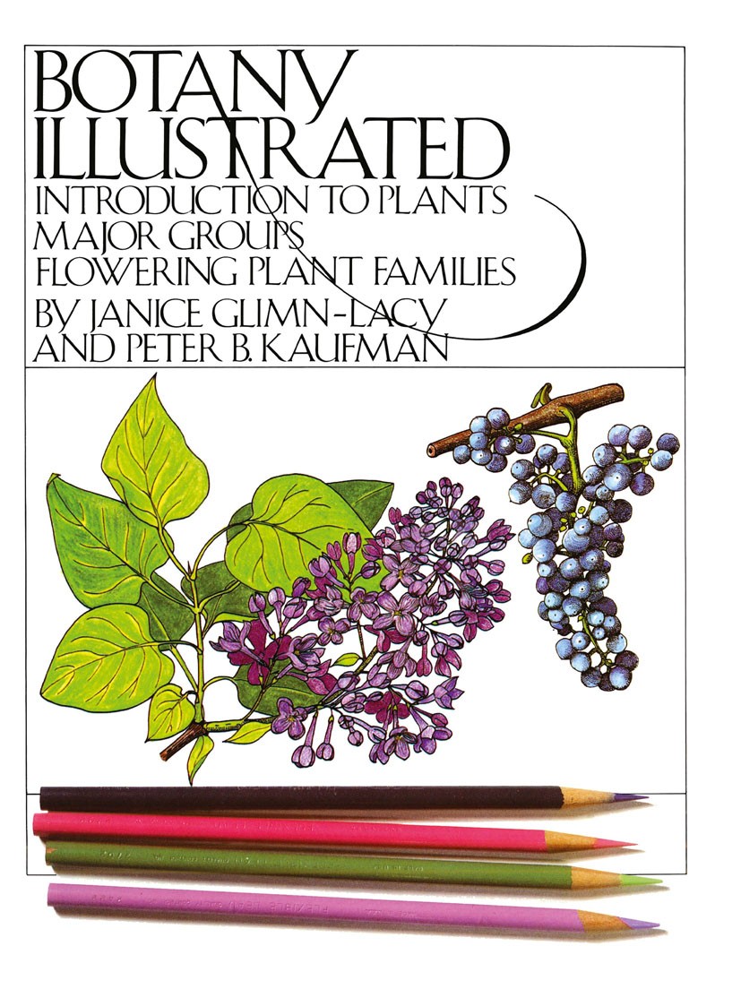 Titlebook: Botany Illustrated; Introduction to Plan Janice Glimn-Lacy,Peter B. Kaufman Book 1984 Janice Glimn-Lacy and Peter B. Kaufman 1984 botany Titlebook: Botany Illustrated; Introduction to Plan Janice Glimn-Lacy,Peter B. Kaufman Book 1984 Janice Glimn-Lacy and Peter B. Kaufman 1984 botany