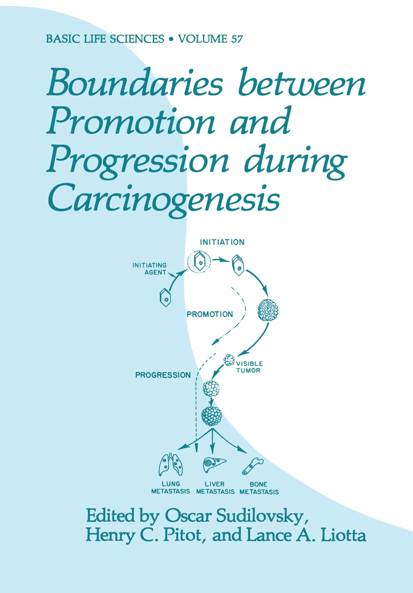 Titlebook: Boundaries between Promotion and Progression during Carcinogenesis; Oscar Sudilovsky,Henry C. Pitot,Lance A. Liotta Book 1991 Plenum Press Titlebook: Boundaries between Promotion and Progression during Carcinogenesis; Oscar Sudilovsky,Henry C. Pitot,Lance A. Liotta Book 1991 Plenum Press