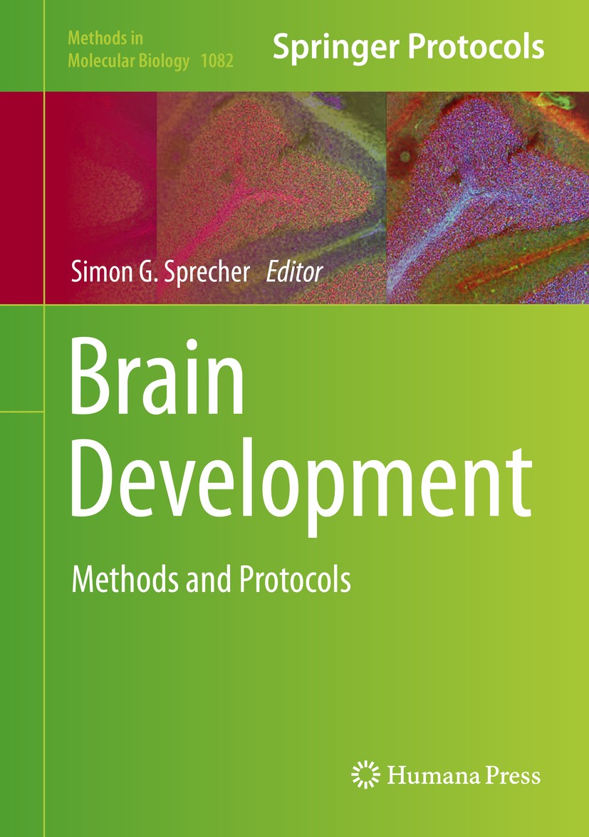 Titlebook: Brain Development; Methods and Protocol Simon G Sprecher Book 2014 Springer Science+Business Media, LLC 2014 Animal models.Developmental co Titlebook: Brain Development; Methods and Protocol Simon G Sprecher Book 2014 Springer Science+Business Media, LLC 2014 Animal models.Developmental co