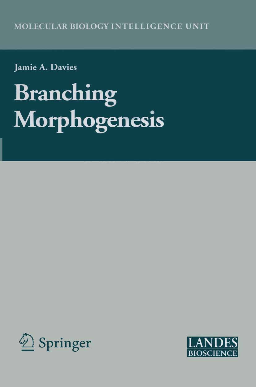 Titlebook: Branching Morphogenesis; Jamie A. Davies Book 2006 Springer-Verlag US 2006 Embryo.Mammalia.Neuron.Vertebrate.animals.botanics.botany.cance Titlebook: Branching Morphogenesis; Jamie A. Davies Book 2006 Springer-Verlag US 2006 Embryo.Mammalia.Neuron.Vertebrate.animals.botanics.botany.cance