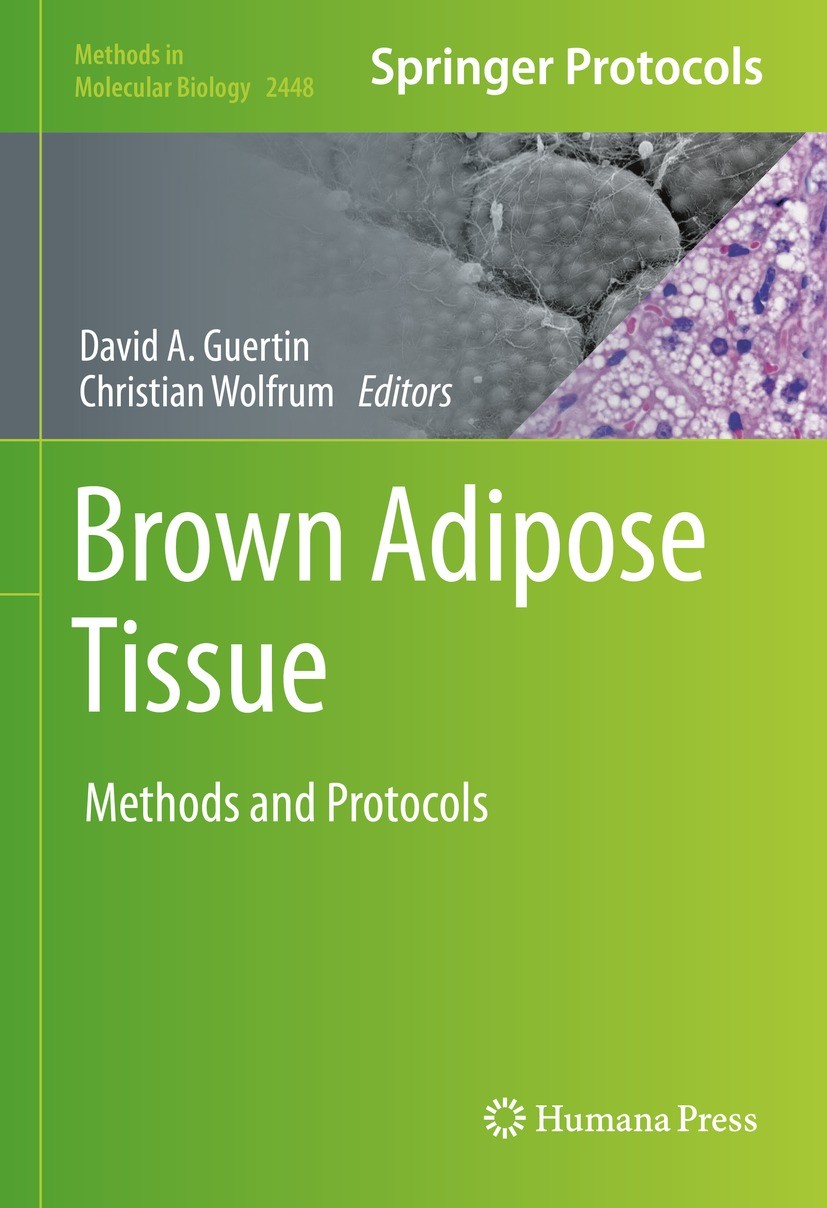 Titlebook: Brown Adipose Tissue; Methods and Protocol David A. Guertin,Christian Wolfrum Book 2022 The Editor(s) (if applicable) and The Author(s), un Titlebook: Brown Adipose Tissue; Methods and Protocol David A. Guertin,Christian Wolfrum Book 2022 The Editor(s) (if applicable) and The Author(s), un
