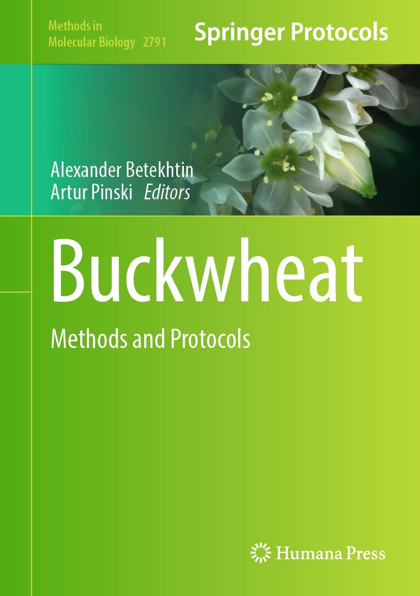 Titlebook: Buckwheat; Methods and Protocol Alexander Betekhtin,Artur Pinski Book 2024 The Editor(s) (if applicable) and The Author(s), under exclusive Titlebook: Buckwheat; Methods and Protocol Alexander Betekhtin,Artur Pinski Book 2024 The Editor(s) (if applicable) and The Author(s), under exclusive
