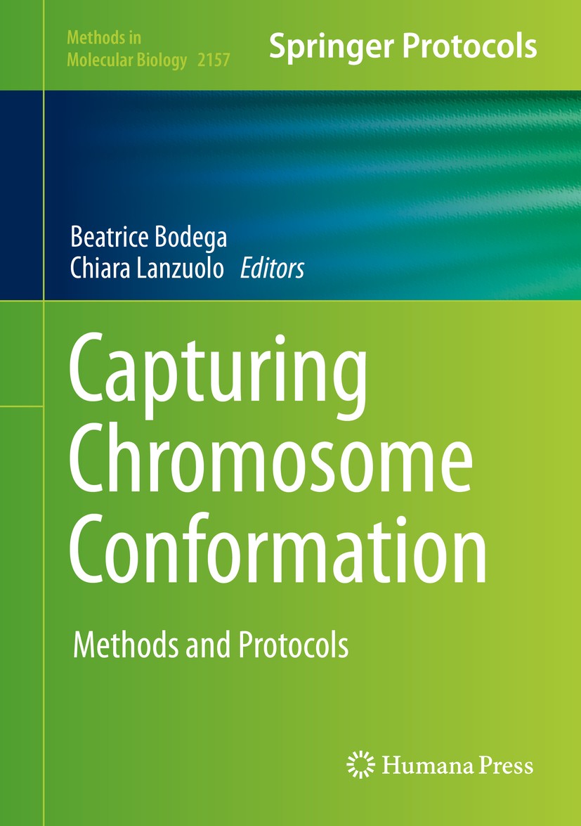 Titlebook: Capturing Chromosome Conformation; Methods and Protocol Beatrice Bodega,Chiara Lanzuolo Book 2021 Springer Science+Business Media, LLC, par Titlebook: Capturing Chromosome Conformation; Methods and Protocol Beatrice Bodega,Chiara Lanzuolo Book 2021 Springer Science+Business Media, LLC, par