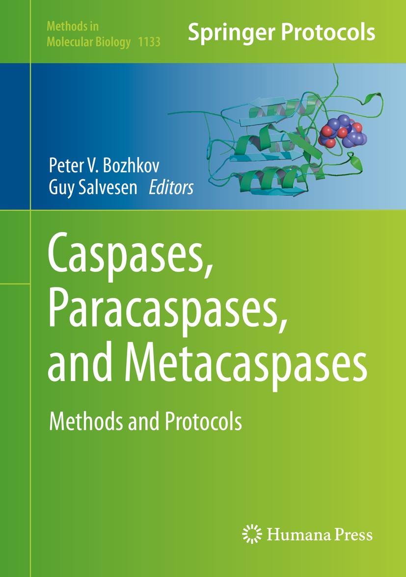 Titlebook: Caspases,Paracaspases, and Metacaspases; Methods and Protocol Peter V. Bozhkov,Guy Salvesen Book 2014 Springer Science+Business Media New Y Titlebook: Caspases,Paracaspases, and Metacaspases; Methods and Protocol Peter V. Bozhkov,Guy Salvesen Book 2014 Springer Science+Business Media New Y