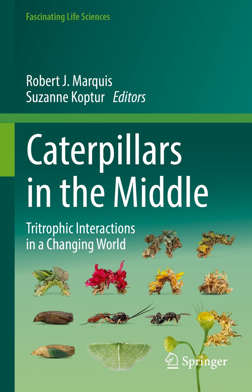 Titlebook: Caterpillars in the Middle; Tritrophic Interacti Robert J. Marquis,Suzanne Koptur Book 2022 The Editor(s) (if applicable) and The Author(s) Titlebook: Caterpillars in the Middle; Tritrophic Interacti Robert J. Marquis,Suzanne Koptur Book 2022 The Editor(s) (if applicable) and The Author(s)