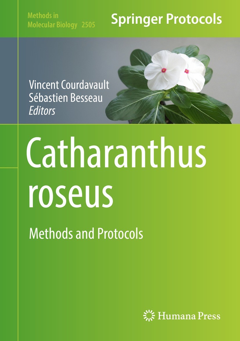 Titlebook: Catharanthus roseus; Methods and Protocol Vincent Courdavault,Sebastien Besseau Book 2022 The Editor(s) (if applicable) and The Author(s), Titlebook: Catharanthus roseus; Methods and Protocol Vincent Courdavault,Sebastien Besseau Book 2022 The Editor(s) (if applicable) and The Author(s),