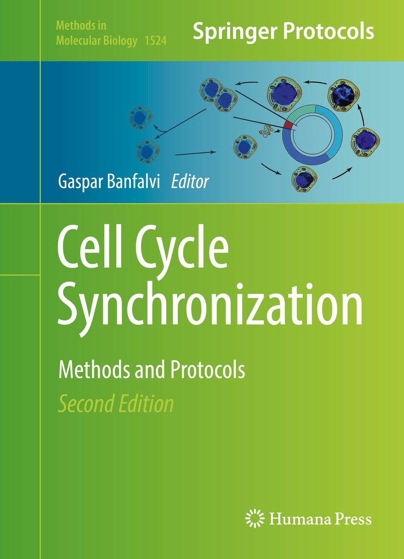 Titlebook: Cell Cycle Synchronization; Methods and Protocol Gaspar Banfalvi Book 2017Latest edition Springer Science+Business Media New York 2017 Unic Titlebook: Cell Cycle Synchronization; Methods and Protocol Gaspar Banfalvi Book 2017Latest edition Springer Science+Business Media New York 2017 Unic