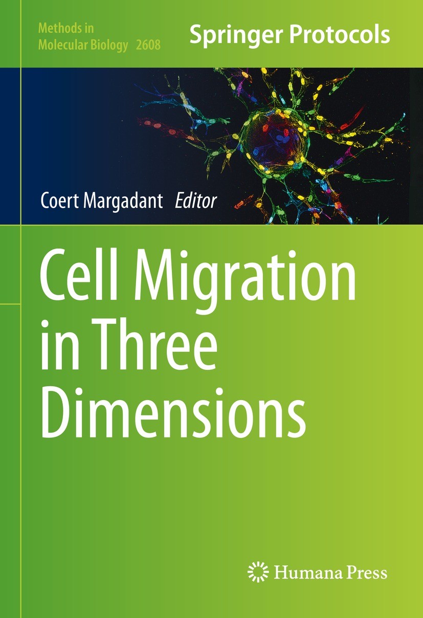Titlebook: Cell Migration in Three Dimensions; Coert Margadant Book 2023 The Editor(s) (if applicable) and The Author(s), under exclusive license to Titlebook: Cell Migration in Three Dimensions; Coert Margadant Book 2023 The Editor(s) (if applicable) and The Author(s), under exclusive license to