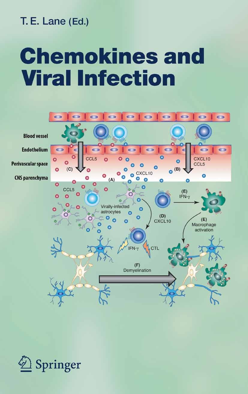Titlebook: Chemokines and Viral Infection; Thomas E. Lane (Associate Professor) Book 2006 The Editor(s) (if applicable) and The Author(s), under excl Titlebook: Chemokines and Viral Infection; Thomas E. Lane (Associate Professor) Book 2006 The Editor(s) (if applicable) and The Author(s), under excl