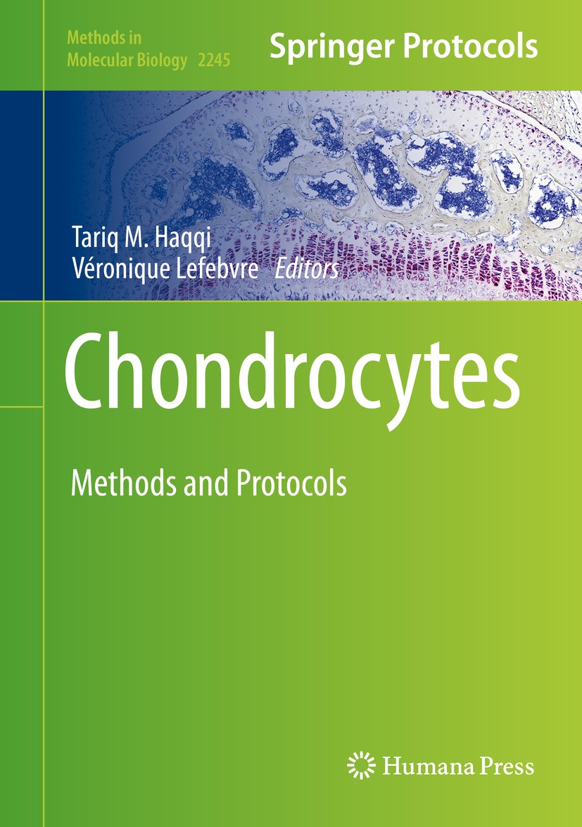 Titlebook: Chondrocytes; Methods and Protocol Tariq M. Haqqi,Véronique Lefebvre Book 2021 Springer Science+Business Media, LLC, part of Springer Natur Titlebook: Chondrocytes; Methods and Protocol Tariq M. Haqqi,Véronique Lefebvre Book 2021 Springer Science+Business Media, LLC, part of Springer Natur