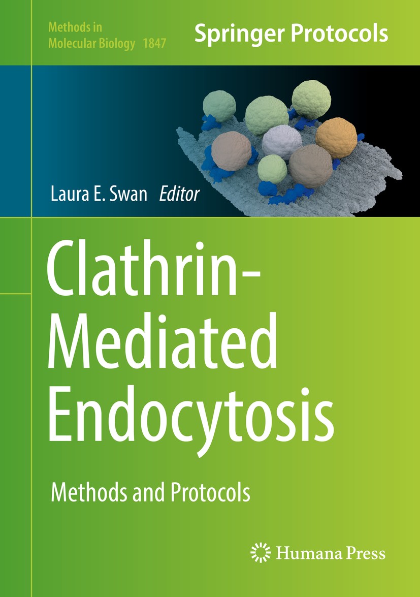 Titlebook: Clathrin-Mediated Endocytosis; Methods and Protocol Laura E.‘Swan Book 2018 Springer Science+Business Media, LLC, part of Springer Nature 2 Titlebook: Clathrin-Mediated Endocytosis; Methods and Protocol Laura E.‘Swan Book 2018 Springer Science+Business Media, LLC, part of Springer Nature 2